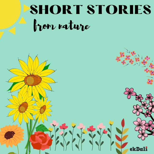 Short Stories for kids from nature - water cycle