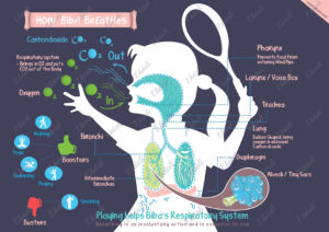 Science Poster for Kids Room Walls - Respiratory System
