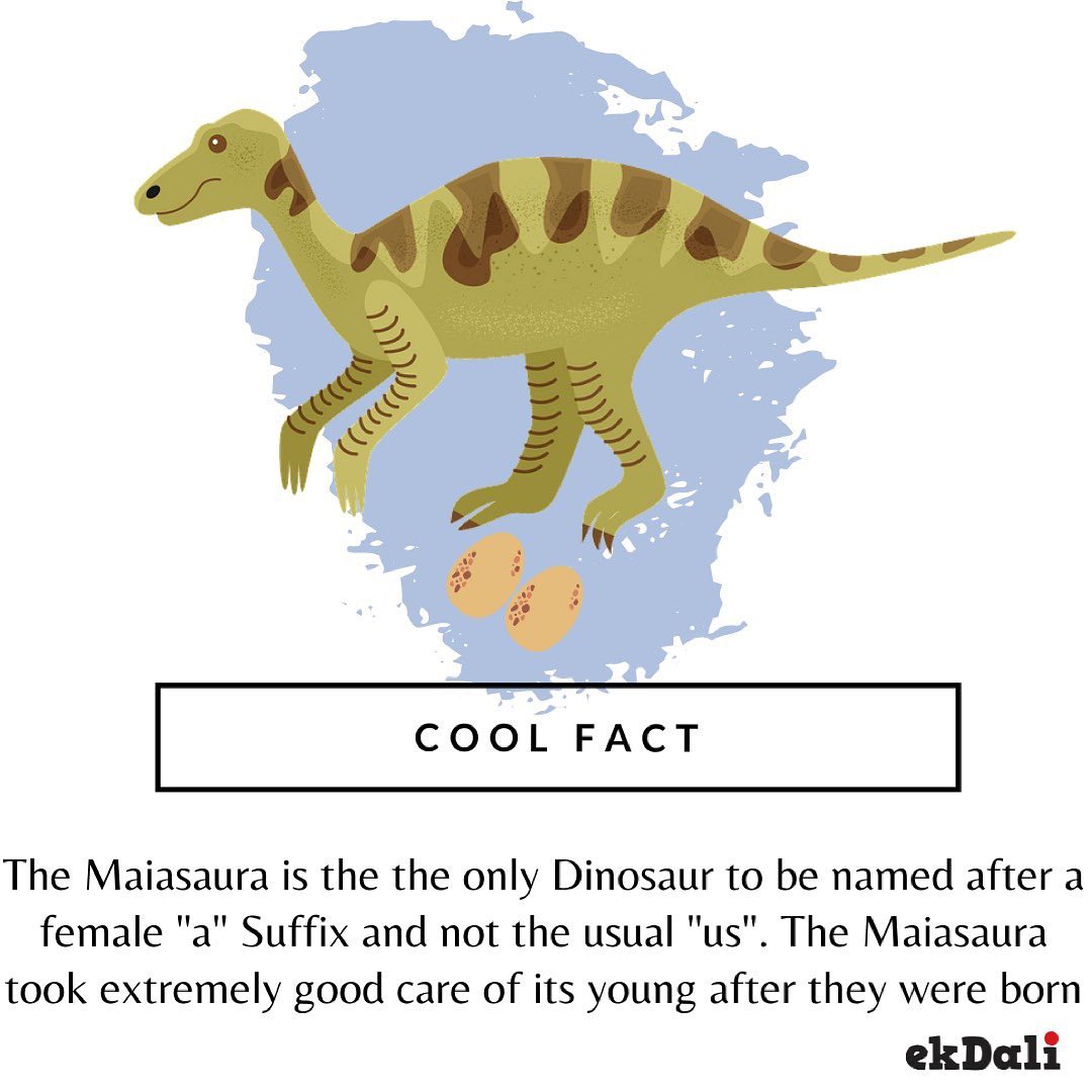 Cool Fact - Maiasaura