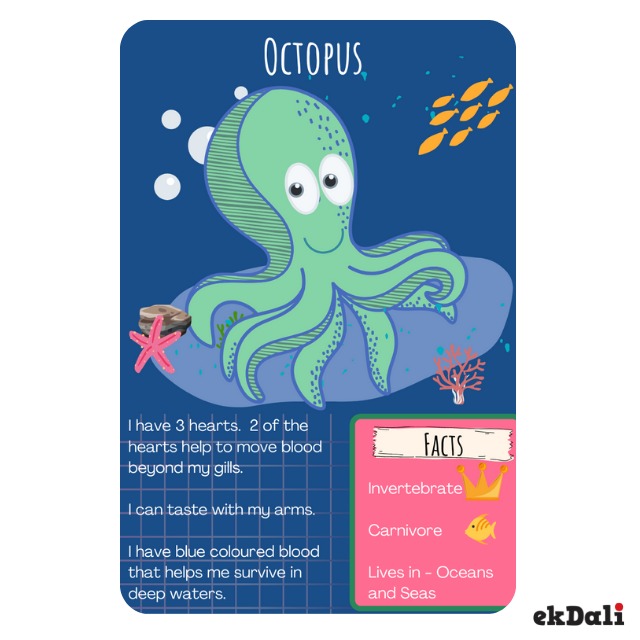 10 cool facts about octopus