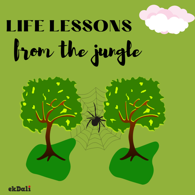 Life Lessons for Kids From  Jungle Stories