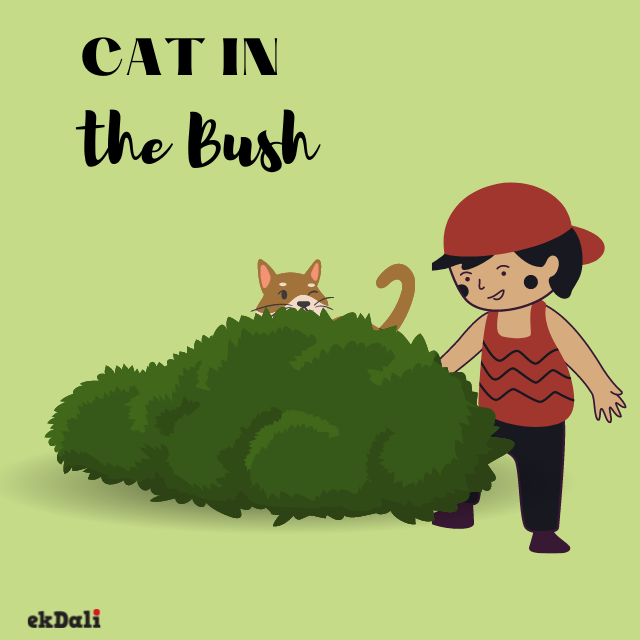The Cat In The Bush and Other Short Stories For Kids