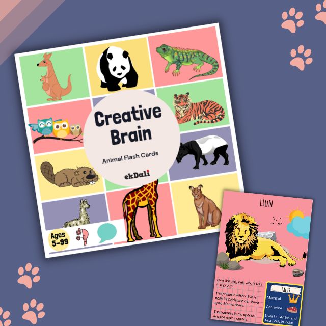 Animal Flashcards for kids - Lion Facts