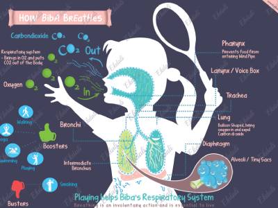 Science Poster for Kids Room Walls - Respiratory System