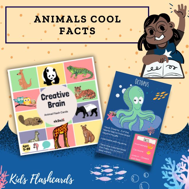 Animal Flashcards for kids - Octopus Facts - Bonus Quiz in the end