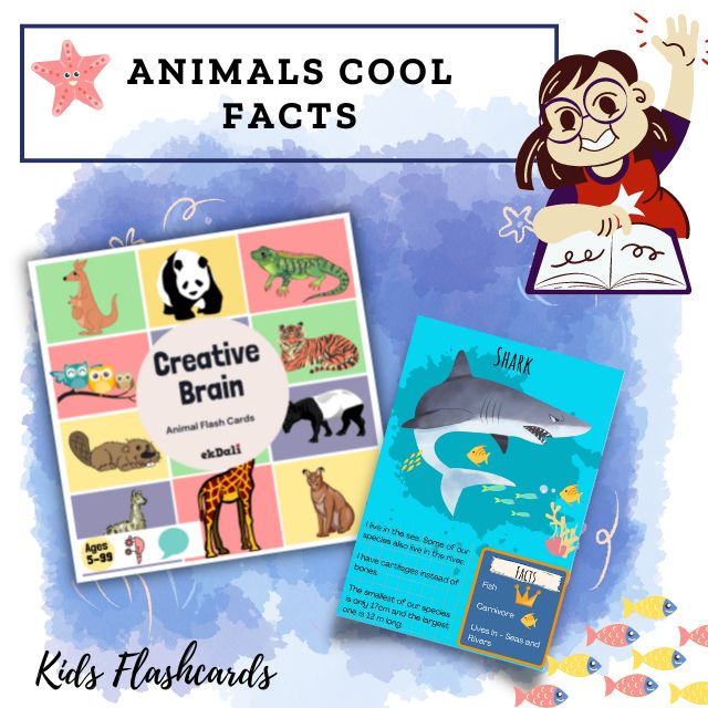Cool Animal Facts Flashcards - Sharks - Bonus quiz at the end