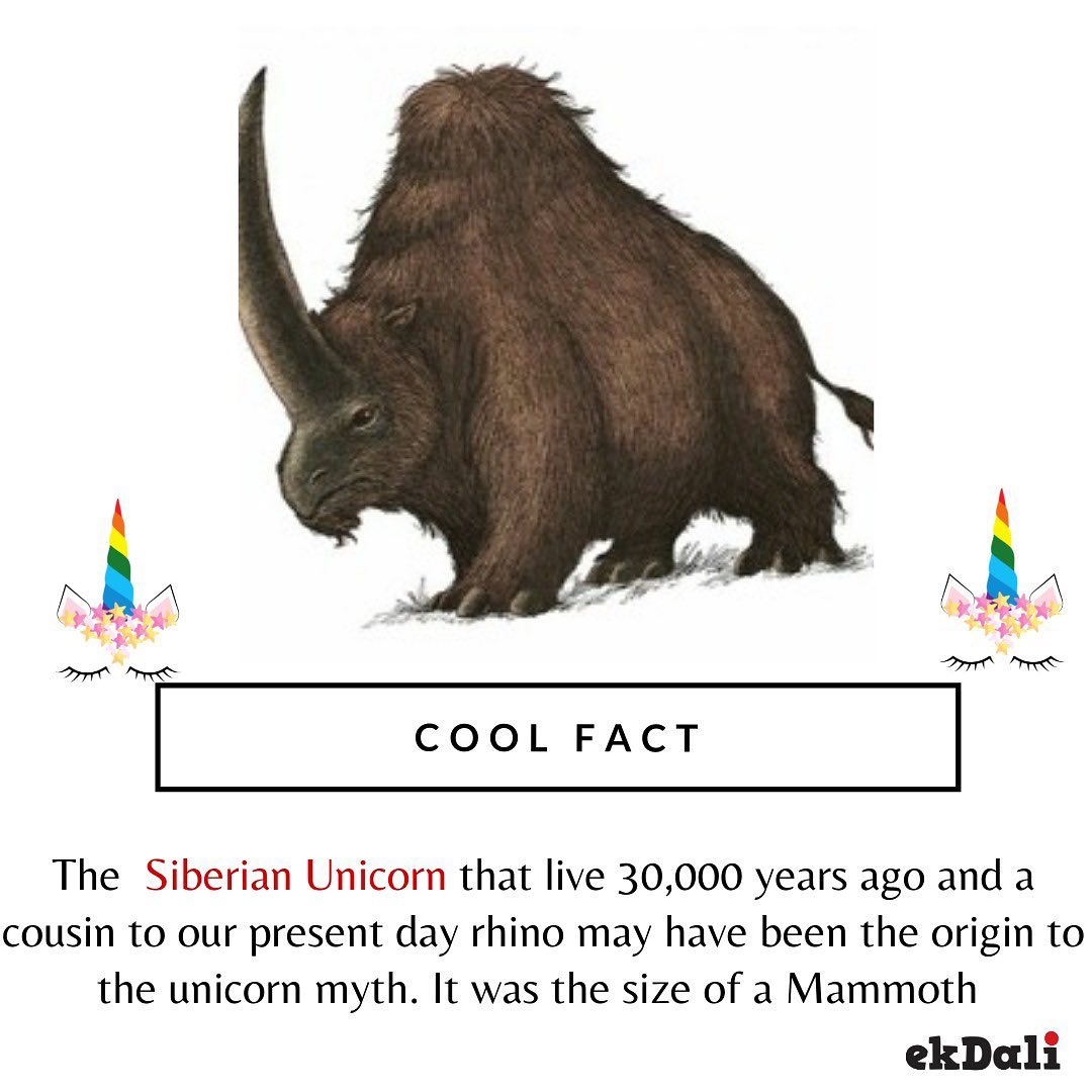 Cool Fact - The Siberian Unicorn