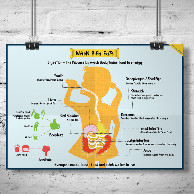 Set Of on a Great Adventure of Digestive System for Kids.