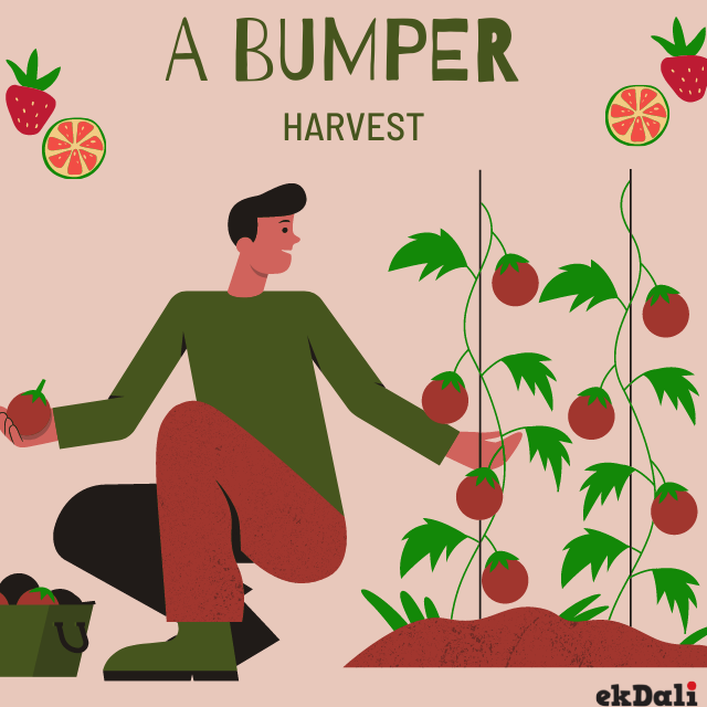 Short Stories for Kids - A Bumper Harvest and Others