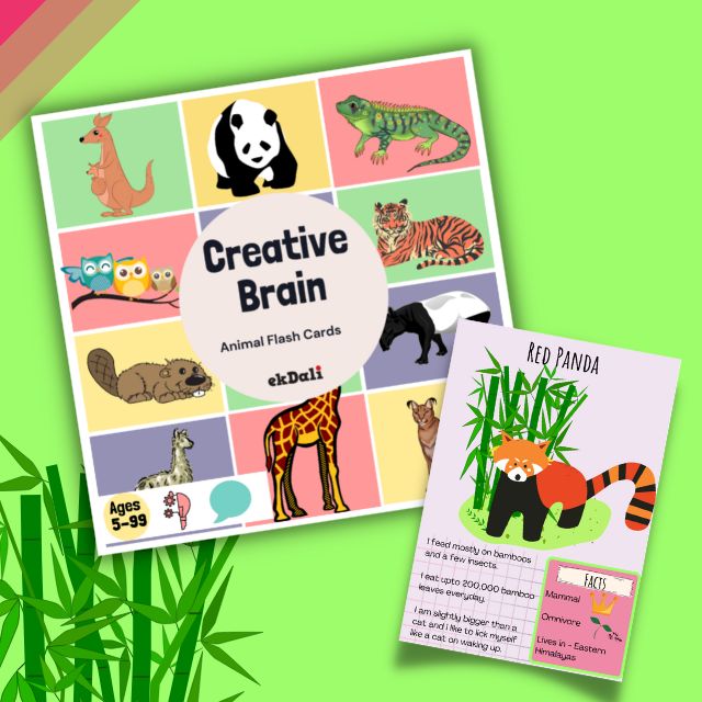 Red Panda Cool Facts for Kids - Animal Flashcards