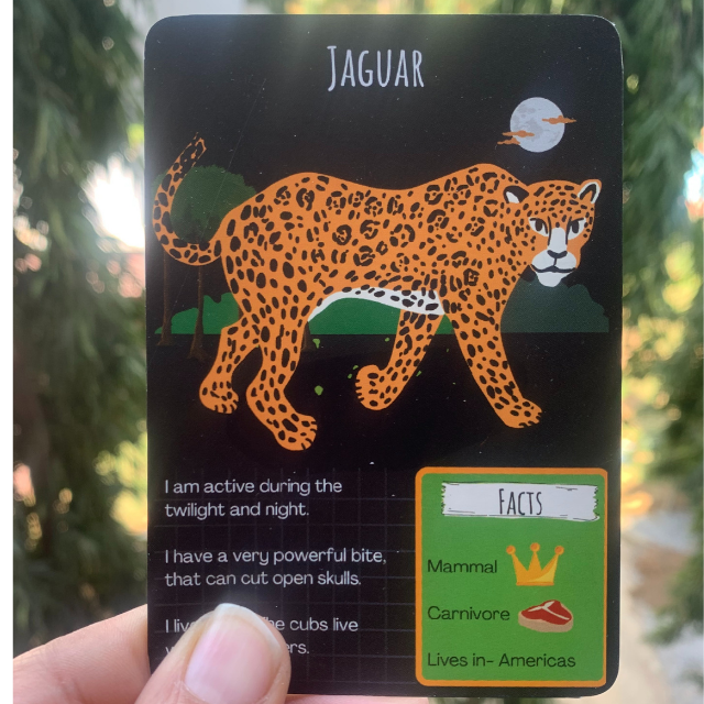 10 Cool Facts Jaguar for Kids