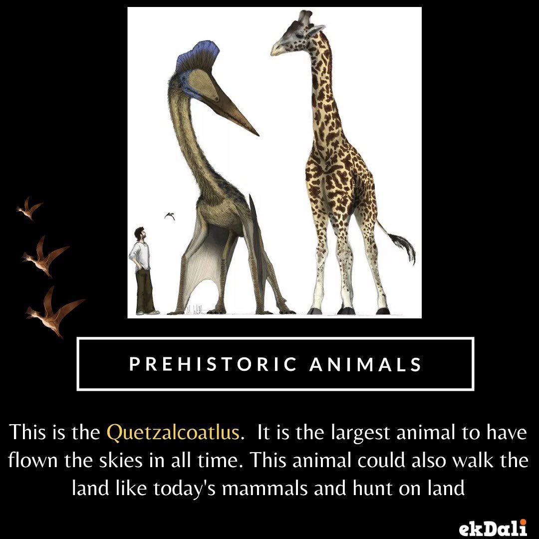 Prehistoric Animals - Quetzalcoatlus