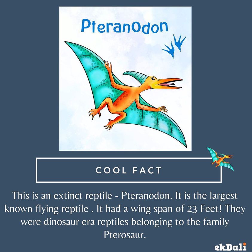 Pteranodon the largest winged Reptile