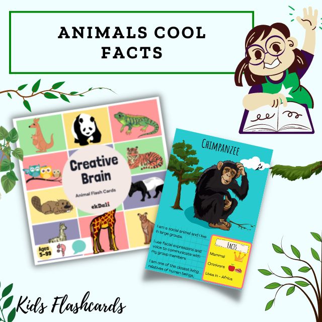 Animal fun quiz flashcards for kids - Chimpanzee