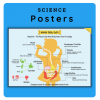 Science Posters for Kids