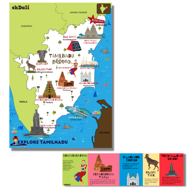 Super Squ Explores India State by State - Tamil Nadu Map for kids - Size 12 x19 inches - rolled