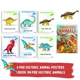 Pre Historic Animal Book